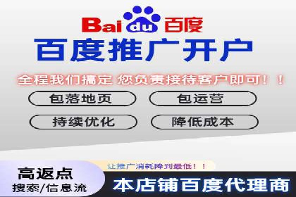 不同平台下的关键词竞价排名策略比较与案例分析